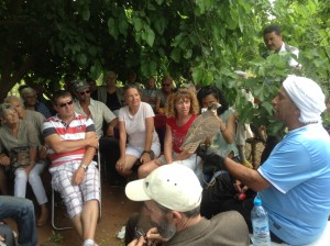 photo(14)
