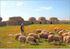 amengal-tazota-rouahla