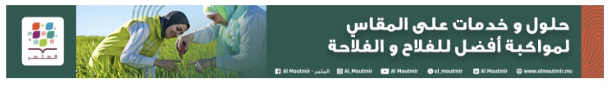 Image Mazagan24